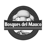 Bosques-del-Mauco