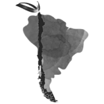Bullet