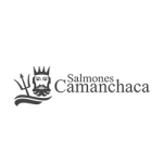 Camanchaca