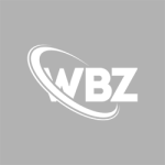 wbz-logo-wbz-letter-wbz-letter-logo-design-initials-wbz-logo-linked-wi