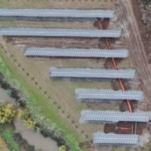 planta solar: Agrichile Los Niches II