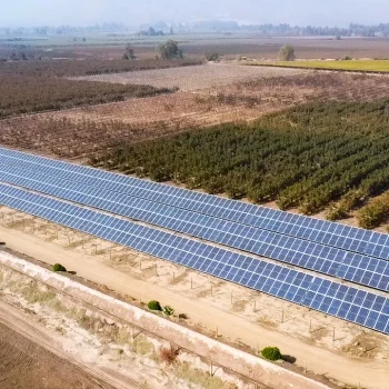 planta solar: frutícola santa marta 1